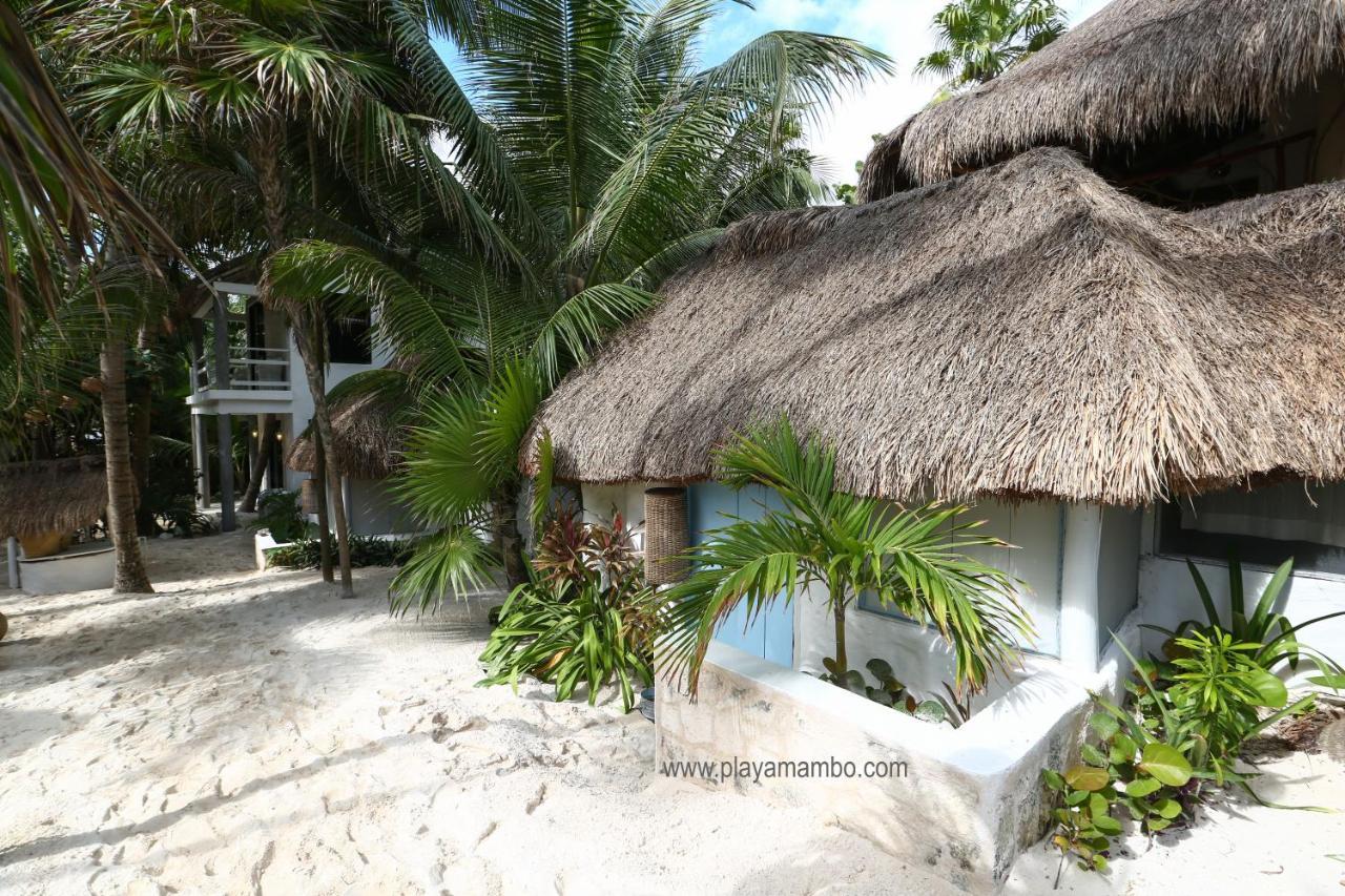 Hôtel Playa Mambo Eco Cabanas à Tulum Extérieur photo