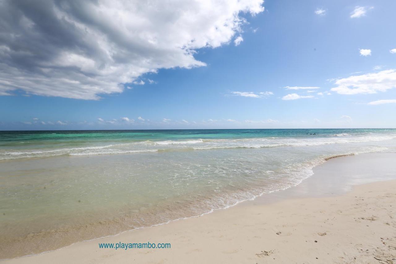 Hôtel Playa Mambo Eco Cabanas à Tulum Extérieur photo