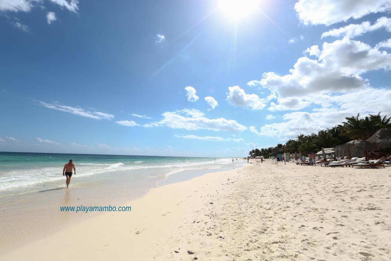 Hôtel Playa Mambo Eco Cabanas à Tulum Extérieur photo