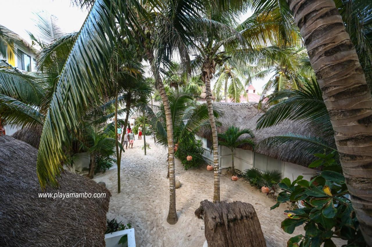 Hôtel Playa Mambo Eco Cabanas à Tulum Extérieur photo